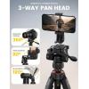 imageLamicall Camera Tripod  176LBS Max Load Tripod for Camera with Rapid Leg Deployment Phone Tripods for Video Recording Photo Vlog 67quot Camera Stand with Phone Holder ampamp Carry Bag for DSLR iPhone GoProBlack