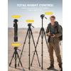 imageLamicall Camera Tripod  176LBS Max Load Tripod for Camera with Rapid Leg Deployment Phone Tripods for Video Recording Photo Vlog 67quot Camera Stand with Phone Holder ampamp Carry Bag for DSLR iPhone GoProBlack
