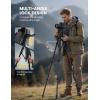 imageLamicall Camera Tripod  176LBS Max Load Tripod for Camera with Rapid Leg Deployment Phone Tripods for Video Recording Photo Vlog 67quot Camera Stand with Phone Holder ampamp Carry Bag for DSLR iPhone GoProBlack
