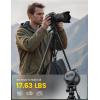 imageLamicall Camera Tripod  176LBS Max Load Tripod for Camera with Rapid Leg Deployment Phone Tripods for Video Recording Photo Vlog 67quot Camera Stand with Phone Holder ampamp Carry Bag for DSLR iPhone GoProBlack