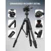 imageLamicall Camera Tripod  176LBS Max Load Tripod for Camera with Rapid Leg Deployment Phone Tripods for Video Recording Photo Vlog 67quot Camera Stand with Phone Holder ampamp Carry Bag for DSLR iPhone GoProBlack